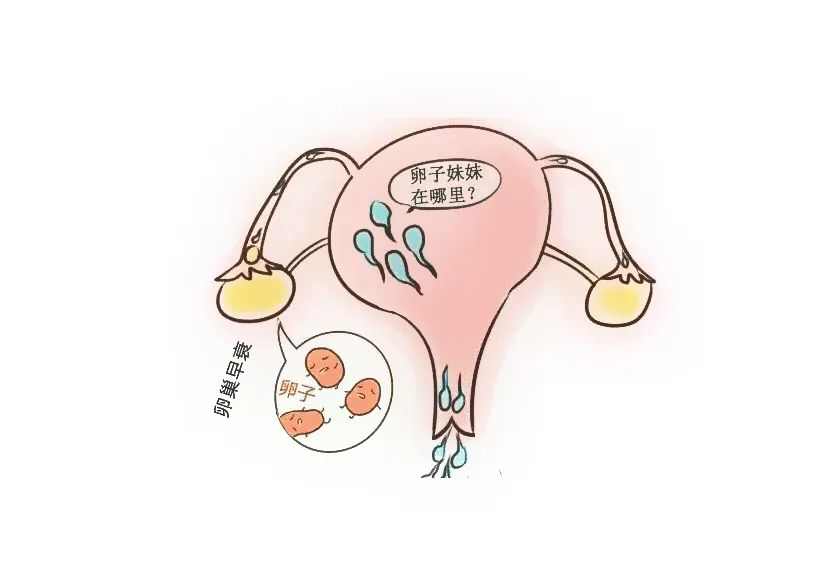 看卵巢功能下降得多少钱(查一下卵巢功能大概需要多少钱)