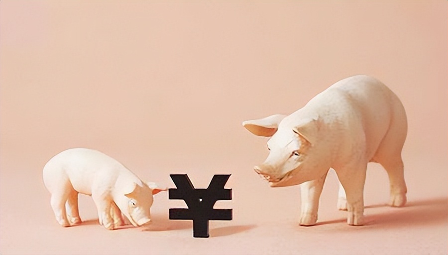 降低生猪养殖成本(养猪场降本增效具体措施)