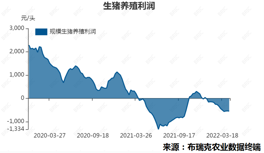 降低生猪养殖成本(养猪场降本增效具体措施)