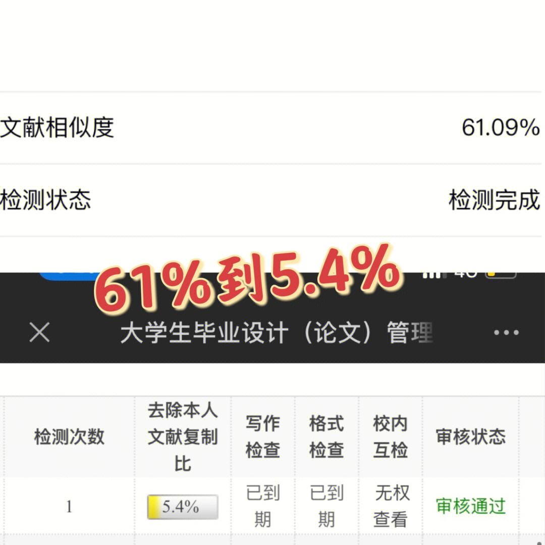 降重多少钱一千字(降重1000字多少钱)